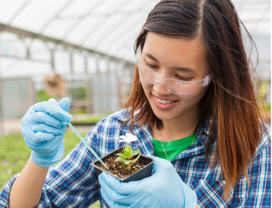 girl planting a small bush